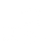 icono4